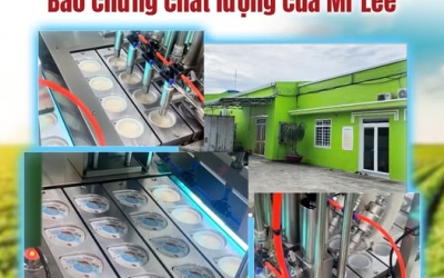 Quy Trình Sản Xuất Tàu Hũ Tươi Cao Cấp Mr Lee: Chuẩn Khép Kín & An Toàn