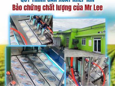 Quy trình sản xuất